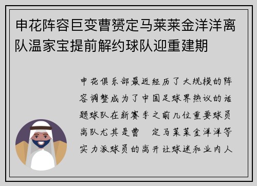 申花阵容巨变曹赟定马莱莱金洋洋离队温家宝提前解约球队迎重建期