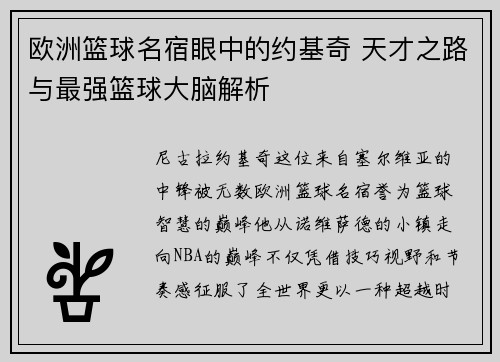 欧洲篮球名宿眼中的约基奇 天才之路与最强篮球大脑解析
